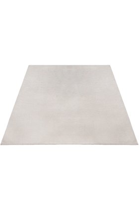 Beige Home Rug
