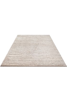 Shaggy Beige Rug