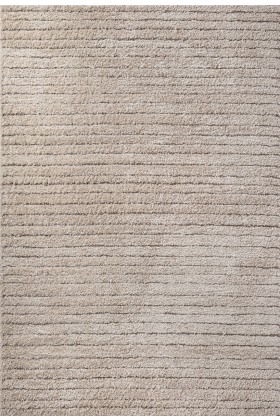 Shaggy Beige Rug