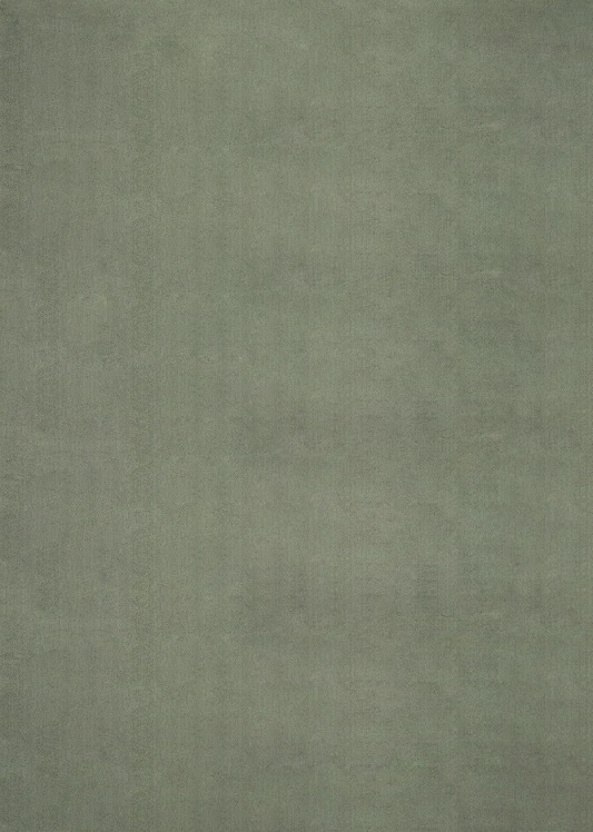 Forrest green washable rug