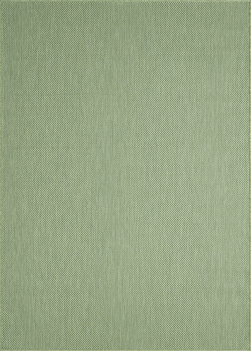 Green outdoor rug 