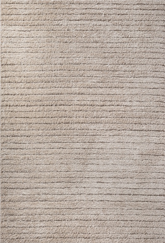 Shaggy Beige Rug