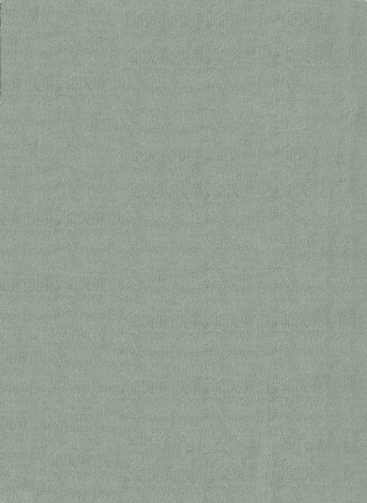 Cozy Sage green modern living room rug