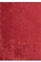 Washable red rug 