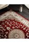 Traditional home rugs 