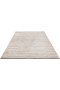 Shaggy Beige Rug